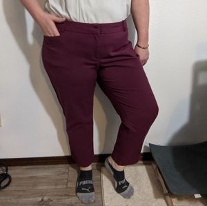 Maroon Kady pant